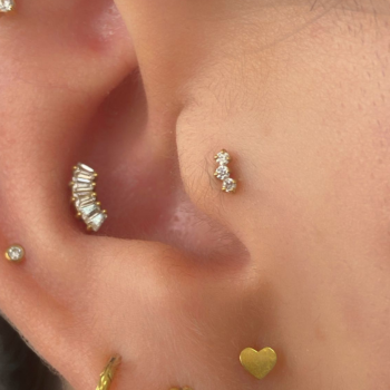 Conch